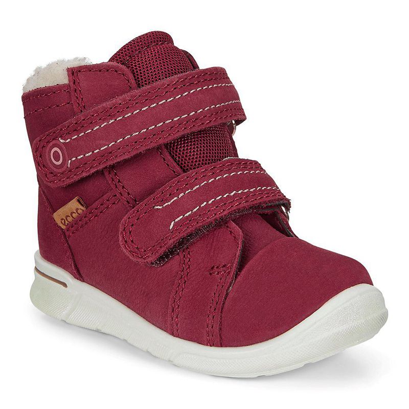 Zapatos Outdoor Ecco Urban Snowboarder Para Niños,Moradas,760983-DFT